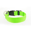 LED Glow Nylon Safety Pet Collars