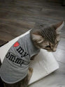 Awesome Cat Summer n Spring Vest Collections