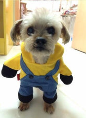 Minion Dog Costume for Halloween Dress Up