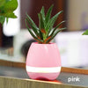 iWZ Magic Music Flowerpot