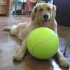 New Year's Offer - Giant Fun Tennis Ball For Pets