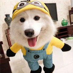 Minion Dog Costume for Halloween Dress Up